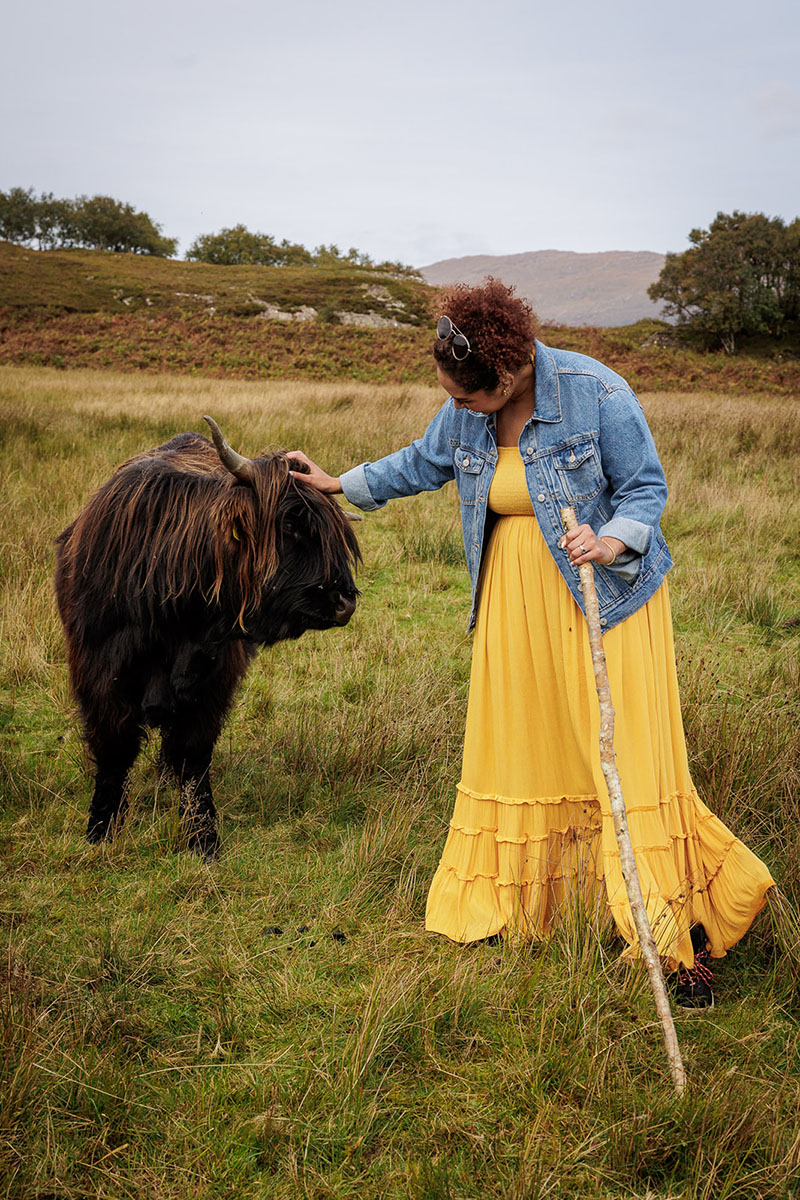 A woman in a yellow dress strokes a Highland Cow on her tour with Highland Cow Tours photography by Lynne Kennedy Photography